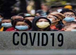 Koronavirüs insana nasıl bulaştı? Dünya Sağlık Örgütü 4 ihtimal üzerinde duruyor