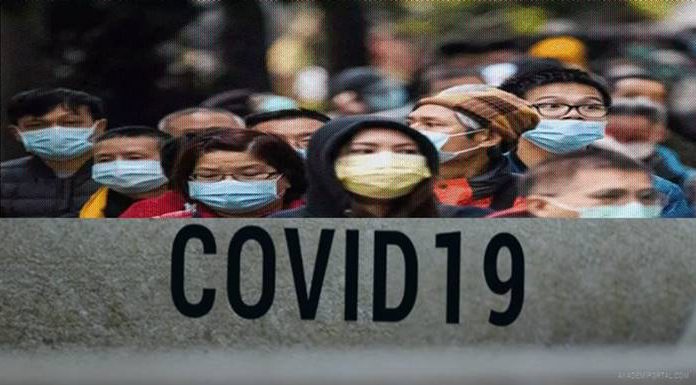 Koronavirüs insana nasıl bulaştı? Dünya Sağlık Örgütü 4 ihtimal üzerinde duruyor