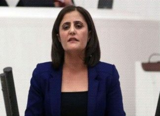 Soylu'nun Gara iddiaları üzerine HDP'li Taşdemir'e soruşturma başlatıldı