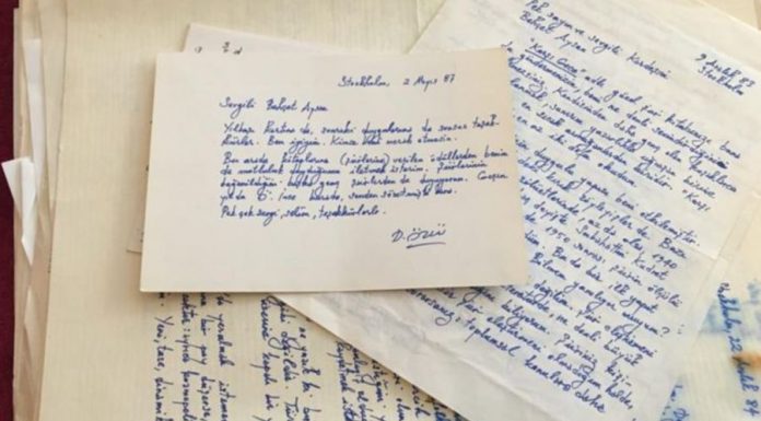 Yazar Demir Özlü'nün şair Behçet Aysan'a gönderdiği mektuplar