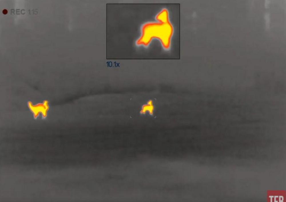 Pulsar Termal Spotters - Axion XQ38 ve XQ38 LRF NatroNet Global