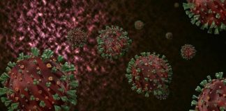 Covid-19'un yeni bir türüne rastlandı