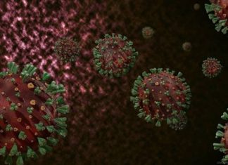 Covid-19'un yeni bir türüne rastlandı