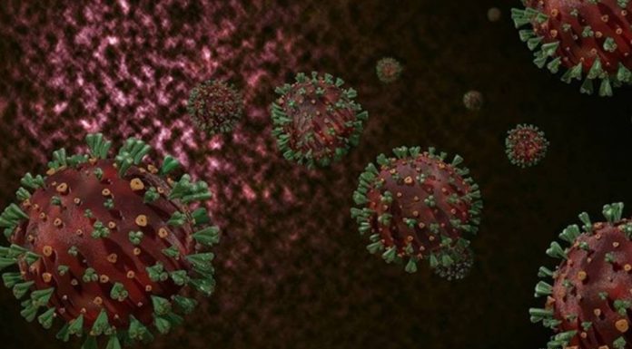 Covid-19'un yeni bir türüne rastlandı