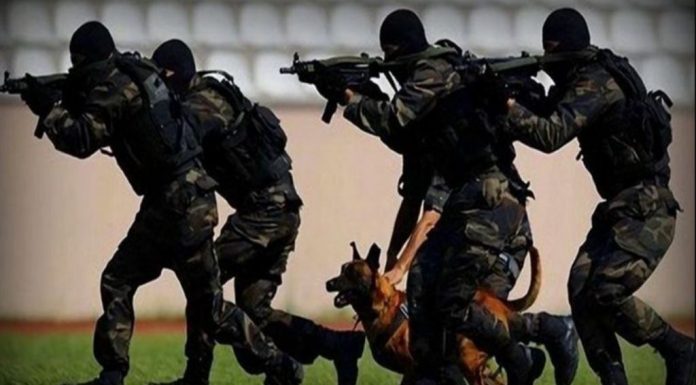 Sedat Peker’in iddialarına SADAT’ın yanıtı Sedat Peker'in iddialarına SADAT'ın yanıtı
