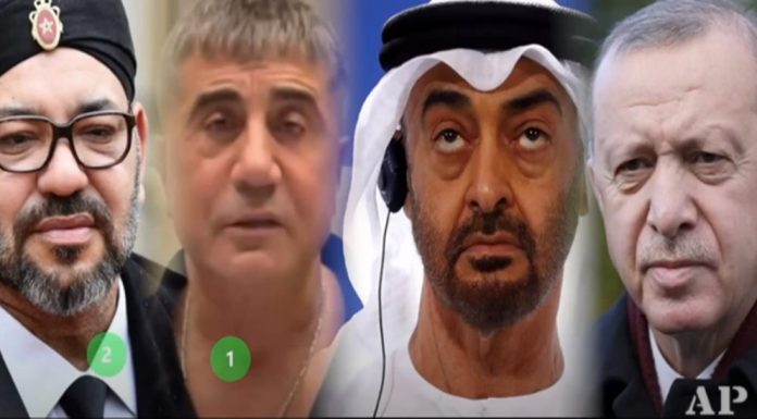 Mısırlı Gazeteci Sabir Meshur: BAE Sedat Peker'i Tutukladı