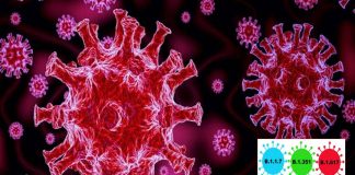 Covid: Hint varyantı olarak da bilinen Delta varyantı nedir?