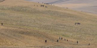 Türkiye-İran sınırından yasa dışı bir şekilde geçerek Türkiye'ye giriş yapan Afgan göçmenlerin durumu, son haftalarda kamuoyunda yoğun bir şekilde tartışılıyor.