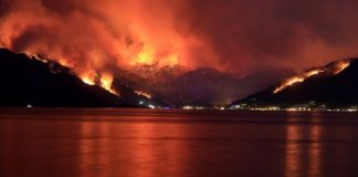 7 ilde çıkan yangınlarda 3 kişi hayatını kaybetti söndürme çalışmaları sürüyor