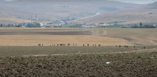 Türkiye'deki Afganlarla ilgili bilinmeyenler