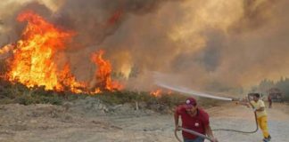 Financial Times: Erdoğan Orman yangınlarına müdahale şekli nedeniyle baskı altında