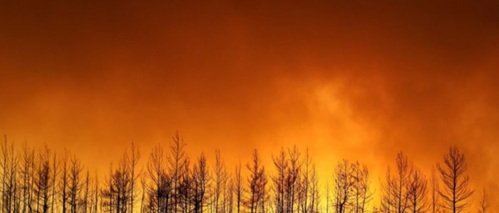 Yangınların nedeni ve yetkililerin yangına müdahalesindeki olası zaafiyetler ile ilgili çok sayıda iddia gündeme geldi. Peki bu iddialar hangileri? Yetkililerin yanıtı ne oldu?