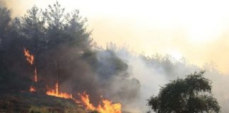 Yangınların nedeni ve yetkililerin yangına müdahalesindeki olası zaafiyetler ile ilgili çok sayıda iddia gündeme geldi. Peki bu iddialar hangileri? Yetkililerin yanıtı ne oldu?
