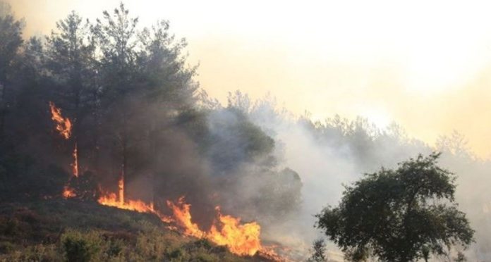 Yangınlar adına hangi iddialar ortaya atıldı yetkililer ne yanıt verdi? Yangınların nedeni ve yetkililerin yangına müdahalesindeki olası zaafiyetler ile ilgili çok sayıda iddia gündeme geldi. Peki bu iddialar hangileri? Yetkililerin yanıtı ne oldu?