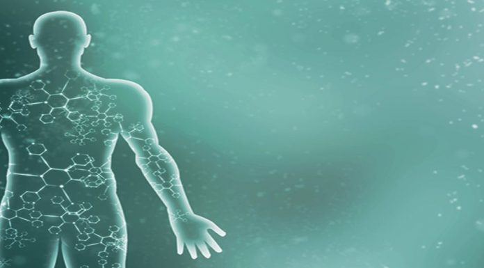 İnsan Vücudu hangi elementlerden oluşuyor?