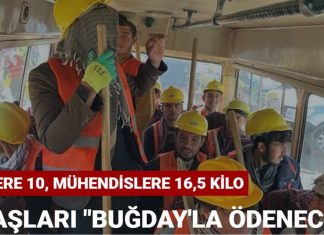 Taliban ekonomik krizdeki Afganistan’da işçi maaşlarını “buğday’la ödeyecek Taliban ekonomik krizdeki Afganistan'da işçi maaşlarını "buğday'la ödeyecek