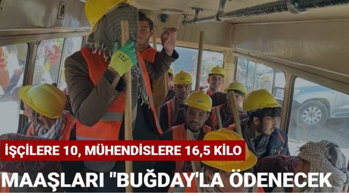 Taliban ekonomik krizdeki Afganistan'da işçi maaşlarını "buğday'la ödeyecek