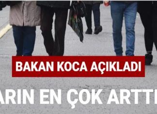 Bakan Koca Koronavirüs Vakalarının artığı 10 İli Açıkladı