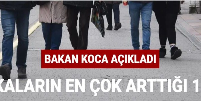 Bakan Koca Koronavirüs Vakalarının artığı 10 İli Açıkladı