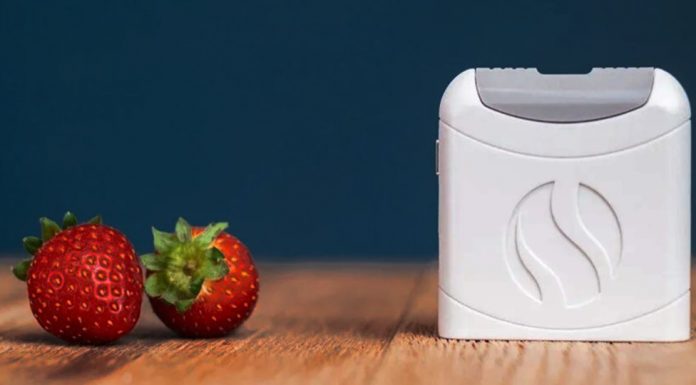 Ne yememiz gerektiğini söyleyen cihaz geliştirildi