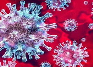 Güney Afrika’dan yayılan Omicron Covid varyantı hakkında neler biliniyor? Güney Afrika'dan yayılan Omicron Covid varyantı hakkında neler biliniyor?