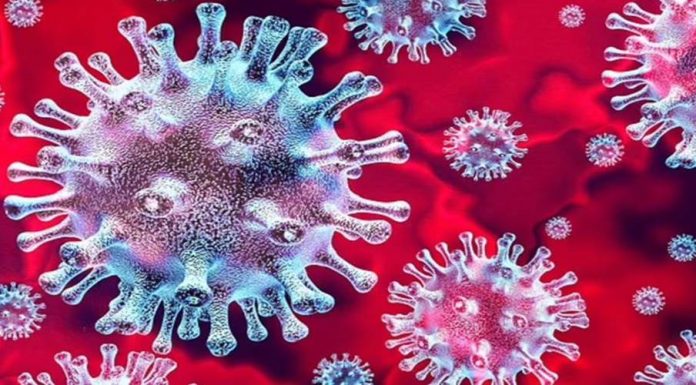 Güney Afrika’dan yayılan Omicron Covid varyantı hakkında neler biliniyor? Güney Afrika'dan yayılan Omicron Covid varyantı hakkında neler biliniyor?