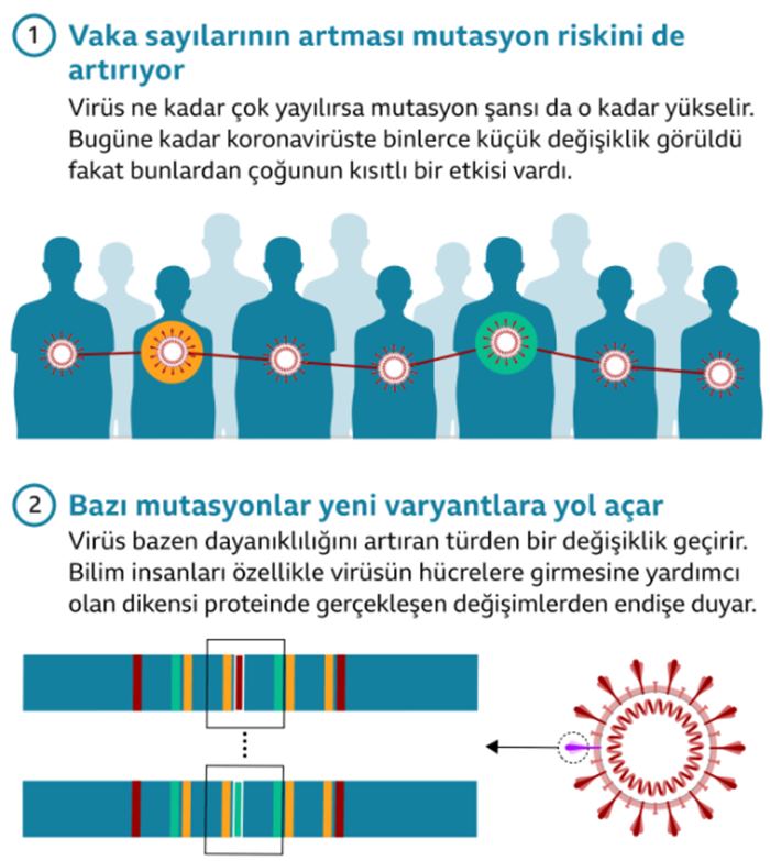 Güney Afrika'dan yayılan Omicron Covid varyantı hakkında neler biliniyor?