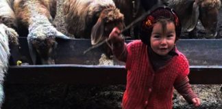 Müslüme Yağal'ın ölümüyle ilgili soruşturmada yeni gelişme