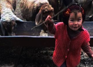 Müslüme Yağal’ın ölümüyle ilgili soruşturmada yeni gelişme Müslüme Yağal'ın ölümüyle ilgili soruşturmada yeni gelişme