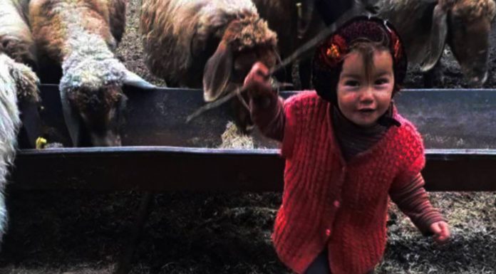 Müslüme Yağal’ın ölümüyle ilgili soruşturmada yeni gelişme Müslüme Yağal'ın ölümüyle ilgili soruşturmada yeni gelişme