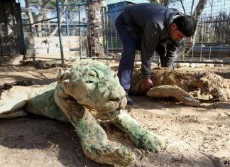 Starved to death and left to MUMMIFY in the world’s worst zoo Starved to death and left to MUMMIFY in the world’s worst zoo