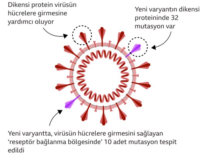 Güney Afrika'dan yayılan Omicron Covid varyantı hakkında neler biliniyor?