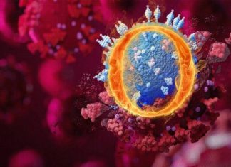 Sağlık Bakanı Koca: Türkiye'de altı kişide Omicron varyantı görüldü