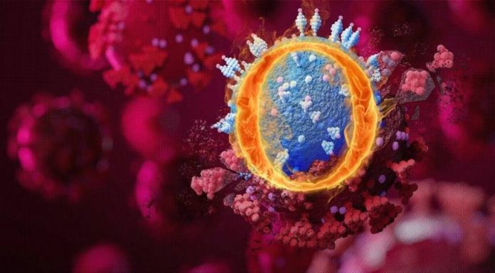 Sağlık Bakanı Koca: Türkiye’de altı kişide Omicron varyantı görüldü Sağlık Bakanı Koca: Türkiye'de altı kişide Omicron varyantı görüldü