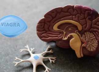Bilim insanları: Viagra Alzheimer hastalığına iyi geliyor olabilir