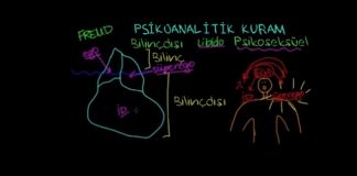 Eğitim: Psikoanalitik Teori (Psikoloji Davranış)