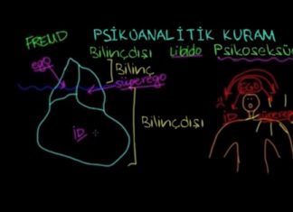 Eğitim: Psikoanalitik Teori (Psikoloji Davranış)
