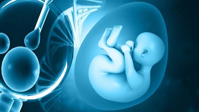Koronavirüs'e Karşı Geliştirilen mRNA aşıları doğurganlığı ve gebeliği etkiliyor mu?