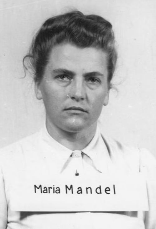 The Nazi party girls of Auschwitz: SS women romanced and caroused with death camp guard lovers as they oversaw the murder of thousands of Jews - before paying the ultimate price on the gallows The Nazi party girls of Auschwitz: SS women romanced and caroused with death camp guard lovers as they oversaw the murder of thousands of Jews - before paying the ultimate price on the gallows