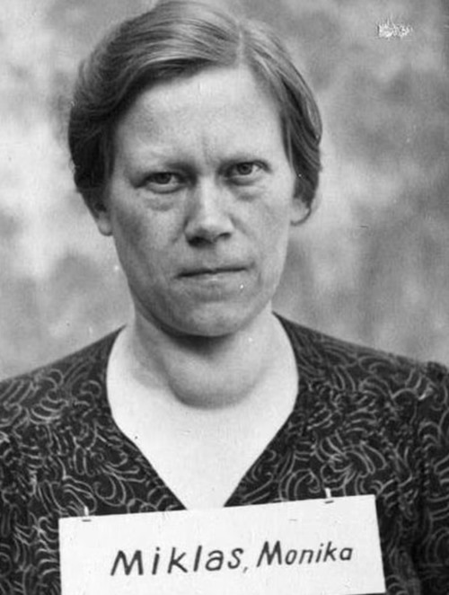 The Nazi party girls of Auschwitz: SS women romanced and caroused with death camp guard lovers as they oversaw the murder of thousands of Jews - before paying the ultimate price on the gallows The Nazi party girls of Auschwitz: SS women romanced and caroused with death camp guard lovers as they oversaw the murder of thousands of Jews - before paying the ultimate price on the gallows