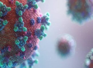 Omicron alt varyantı BA.2 hakkında neler biliyoruz, BA.2 daha mı tehlikeli?