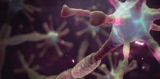 MS hastalığına bir virüsün neden olduğuna dair güçlü kanıtlar var