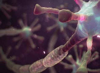 MS hastalığına bir virüsün neden olduğuna dair güçlü kanıtlar var