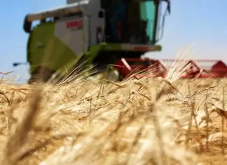 Tahıl koridoru anlaşması İmzalanıyor : Bugün İstanbul'da önemli bir adım atılıyor