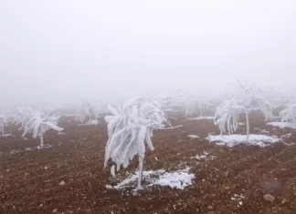 Meteoroloji Genel müdürlüğü 13 il için sarı ve turuncu kodlu uyarıda bulundu