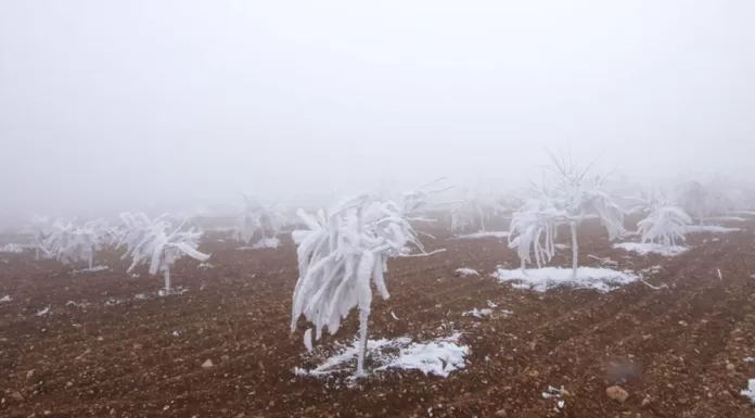 Meteoroloji Genel müdürlüğü 13 il için sarı ve turuncu kodlu uyarıda bulundu Meteoroloji Genel müdürlüğü 13 il için sarı ve turuncu kodlu uyarıda bulundu