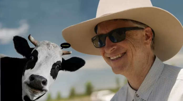 Bill Gates, ineklerin osuruğunu engellemeye çalışan iklim girişimini destekledi Bill Gates, ineklerin osuruğunu engellemeye çalışan iklim girişimini destekledi