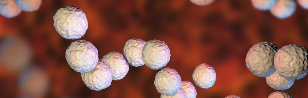 Strep A bakterisi kaynaklı ilk çocuk ölümü Türkiye'de gerçekleşti, Strep A nedir?