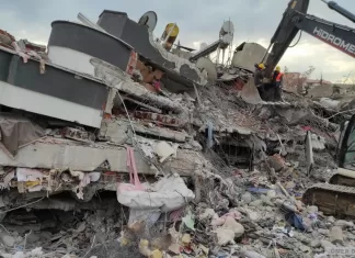 Japon arama kurtarma ekibi: Enkazdan canlı çıkarmak ince iştir bu vinçle yapılmaz