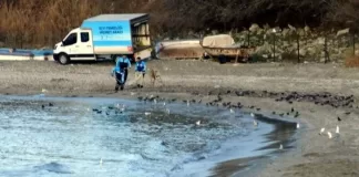 İstanbul Avcılar Ambarlı Sahili'nde deniz yaklaşık 15 metre çekildi